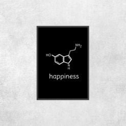 Placa Decorativa Fórmula da Felicidade - Loja Nerd